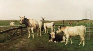 Cows In A Meadow Cows In A Meadow