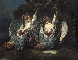 Dead partridges suspended from ropes on a tree in a forest