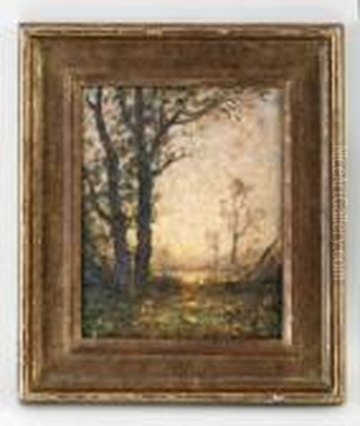 Sous-bois Au Crepuscule - view 1