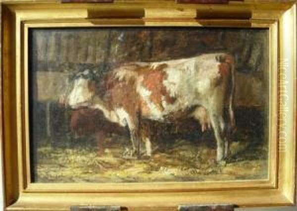 Vache - view 1