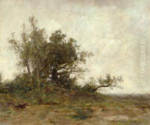 Bouquets D'arbres by Alphonse Stengelin
