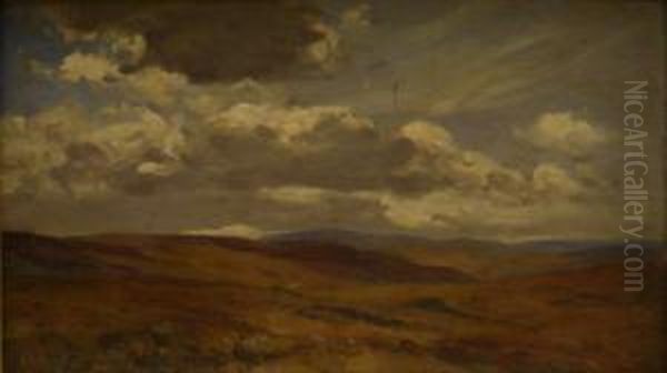 Near Askrigg Yorkshire - view 1