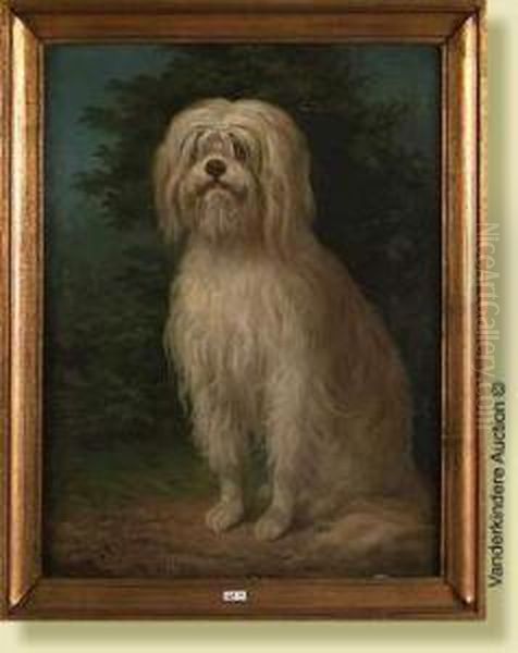 Portrait De Chien - view 1