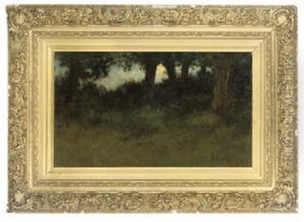 Moonlight In The Forest - view 1