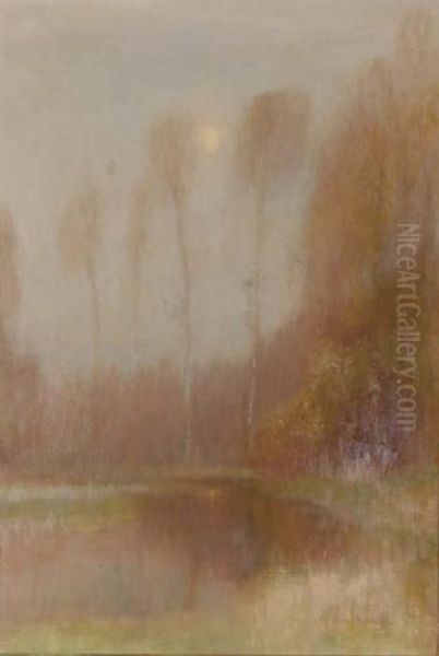 Shades Of Evening - view 1