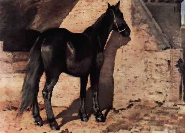 Black horse in the sun - view 1