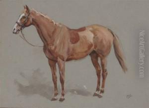 Surrey by Frank Algernon Stewart