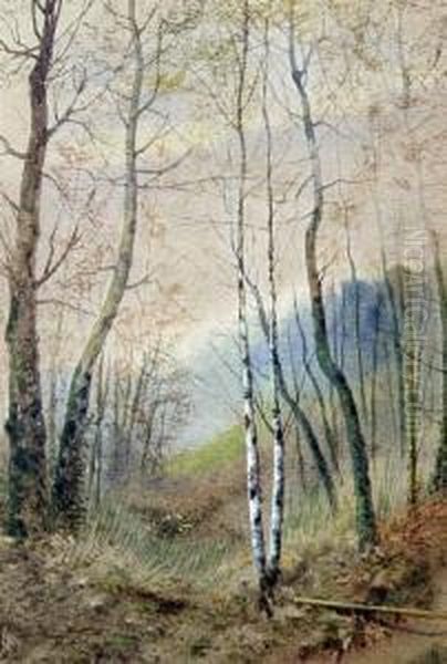 Birch Trees And Pond - view 1