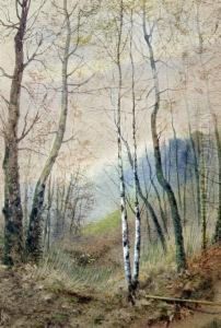 Birch Trees And Pond by James Lawson Stewart