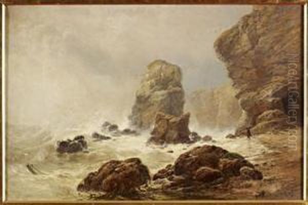 On The Northumberland Coast - view 1