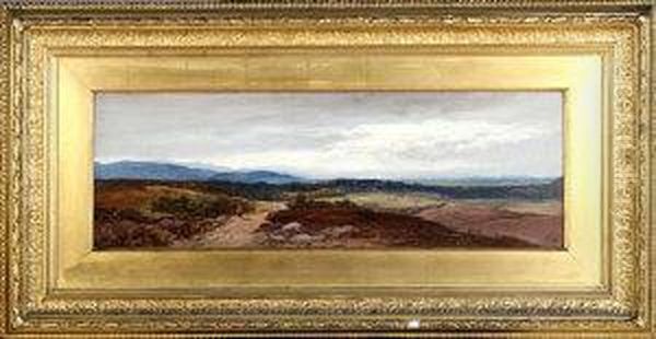 Near Brampton, Cumberland - view 1