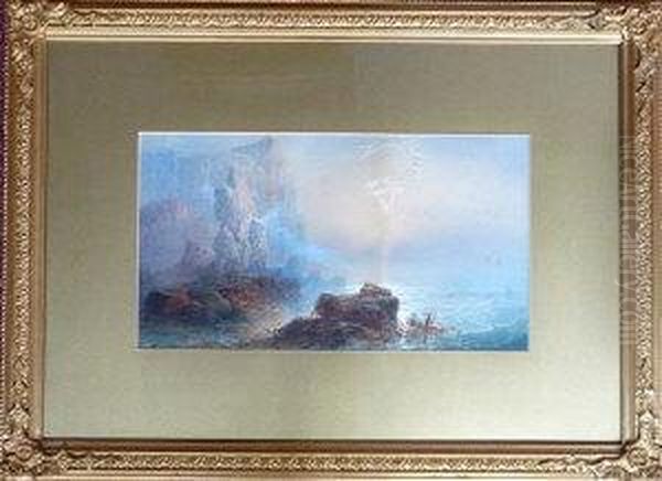 Sea Birds Nesting On Cliffs - view 1