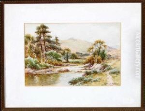 A North Country River View by Harry James Sticks