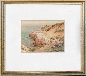 Afternoon Sunlight - Marsden Cliffs by Harry James Sticks