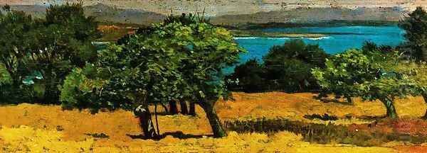 Canpagna a Castiglioncello - view 1