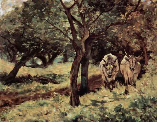 Two oxen in the olive grove - view 1