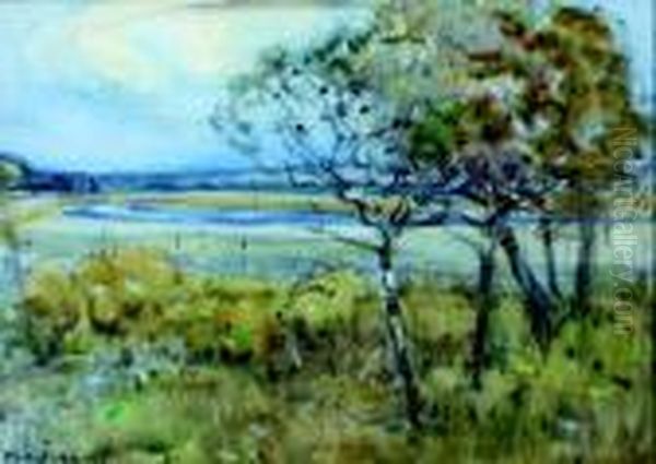 Waipara River - view 1