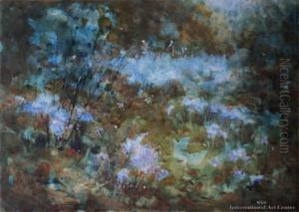 Bluebells - view 1