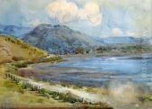 Road To Akaroa by Margaret Olrog Stoddart