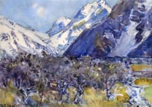 Mt Cook by Margaret Olrog Stoddart