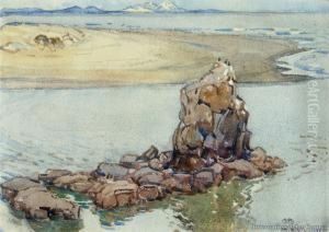Shag Rock, Sumner Shag Rock, Sumner