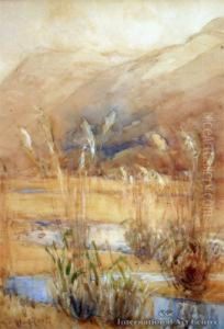 Teremakau Valley by Margaret Olrog Stoddart