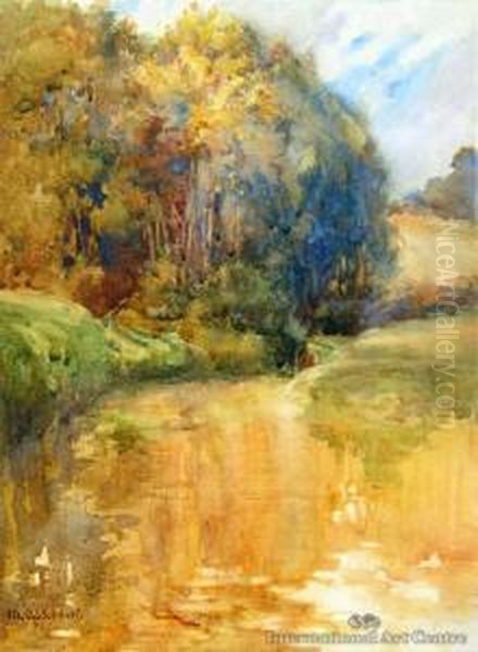 A Suffolk Stream - view 1