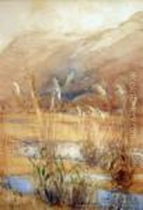 In The Teremakau Valley by Margaret Olrog Stoddart