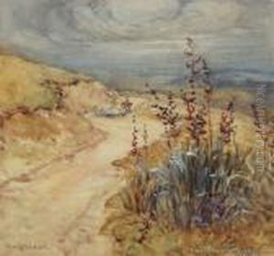 Droving On Cashmere Hills Droving On Cashmere Hills