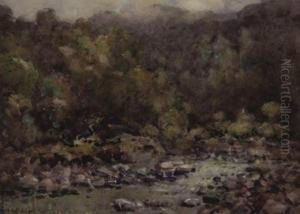 Kelly's Creek