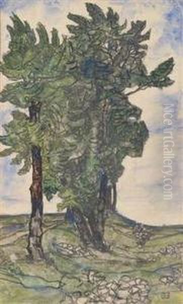 Dark Tree - view 1