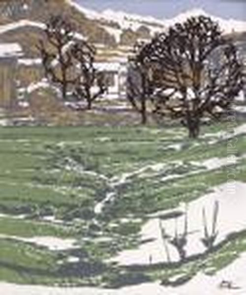 Pinzgauer Landschaft - view 1