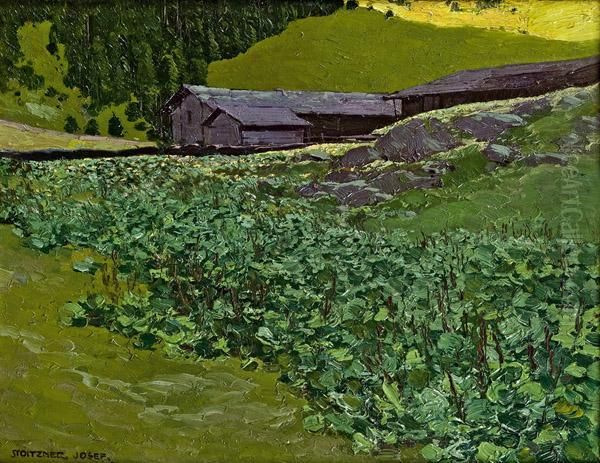 Almwiese - view 1