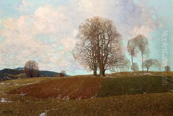 Landschaft In Niederosterreich, Herbst, Signiert, Datiert Stoitzner Josef 13 - view 1