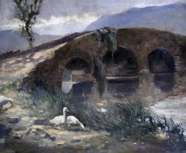 The Old Bridge - view 1