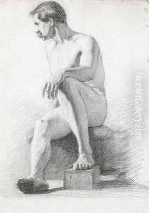 A Collection Of Life Studies
