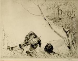 Spanielsretrieving A Pheasant Etching Limited Edition 74/75 Signed Inpencil 80-100 by George Vernon Stokes
