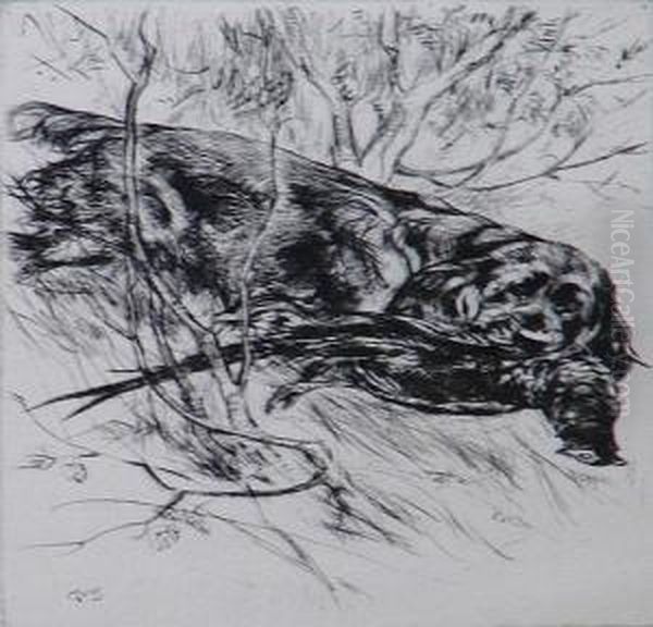 'sussex Springer Retrieving - view 1