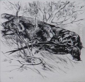 'sussex Springer Retrieving