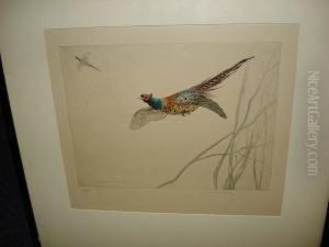 Pheasants In Flight