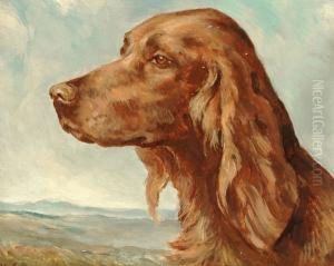 Portrait Of A Red Setter