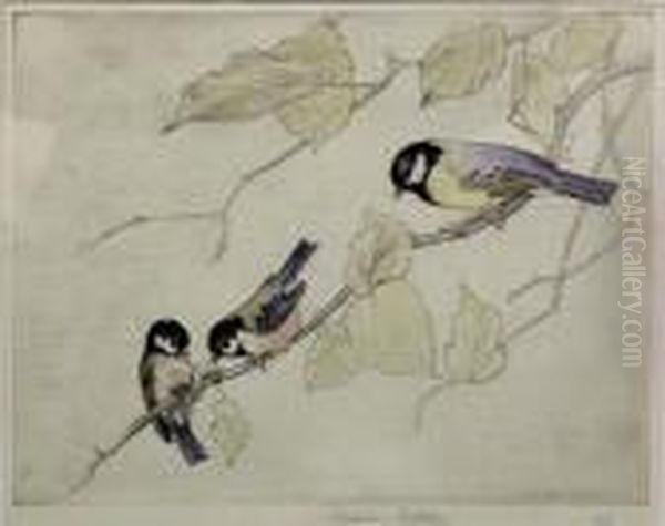 Coal Tit And Great Tit, Hand Coloured Etching - view 1
