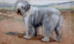 Old English Sheepdog by George Vernon Stokes