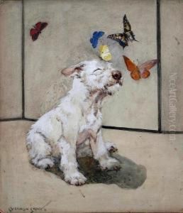 White Terrier And Butterflies