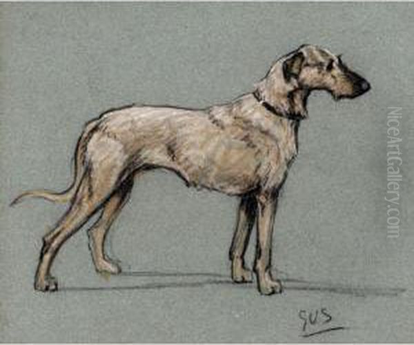 Studies Of Dogs - view 1