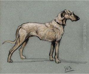 Studies Of Dogs