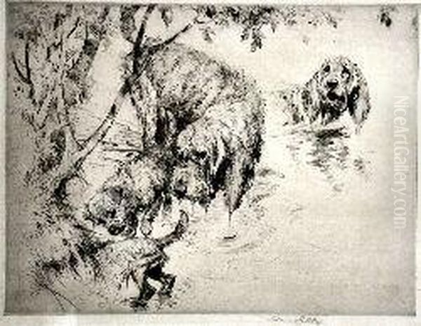 Otter Hounds - view 1