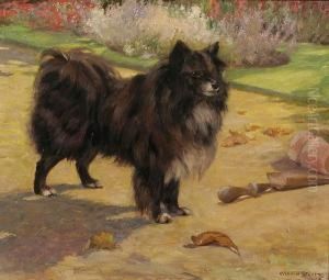 "joyo", A German Spitz Dog Standing In A Garden by George Vernon Stokes