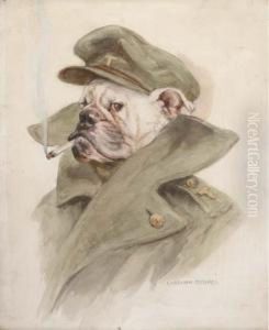The Bulldog