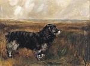 Sussex Spaniel In A Landscape
